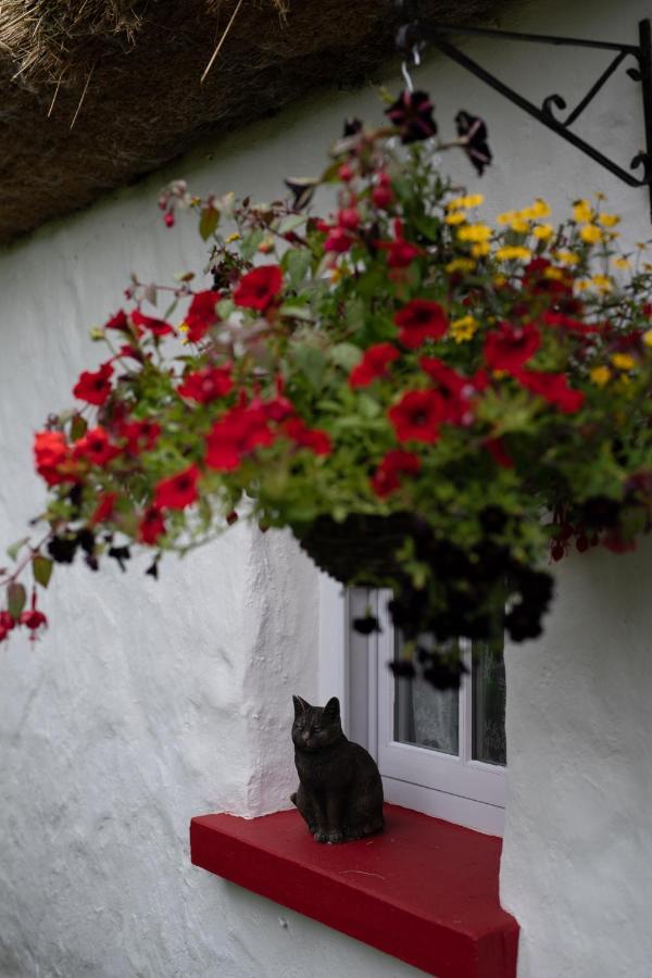 Keenaghan Cottage Belleek Kültér fotó